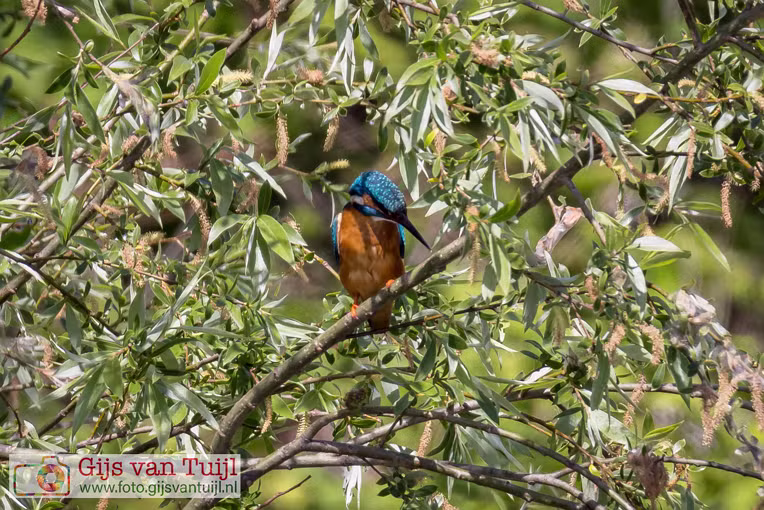 2022_05_04 Uiterwaard Gameren