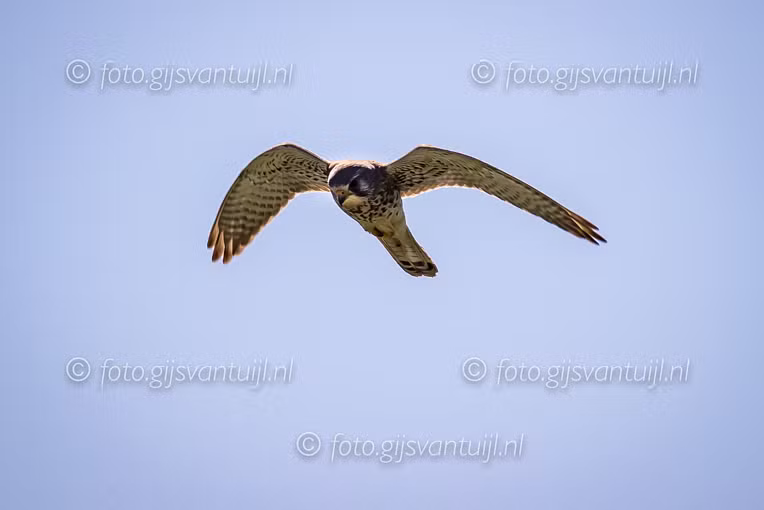 2020_04_20 Zouweboezem