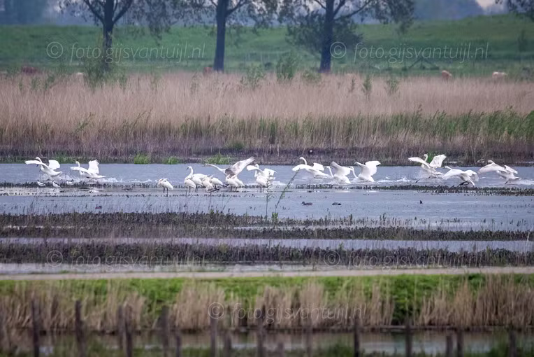 2021_05_11 Munnikenland Brakel