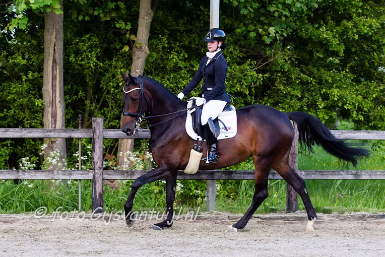 2015_05_22 Lo Paardensport wedstr Z1 Z2 Gameren